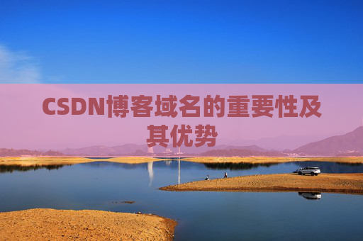 CSDN博客域名的重要性及其优势